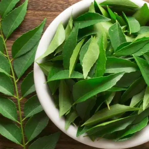 Thulasi Herbal Powder Exporters in Madurai